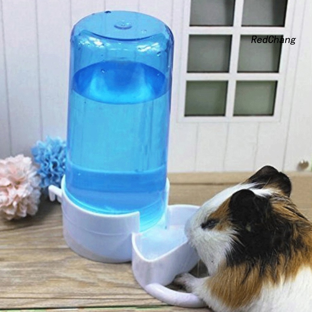 Dụng Cụ Cho Chuột Hamster Uống Nước Tiện Lợi