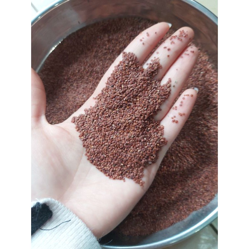 1 lạng hạt ngũ hoa / hạt đình lịch nguyên chất