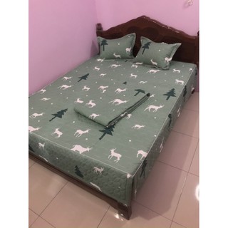 Trọn bộ ga phủ trần bông 5 món hươu xanh
