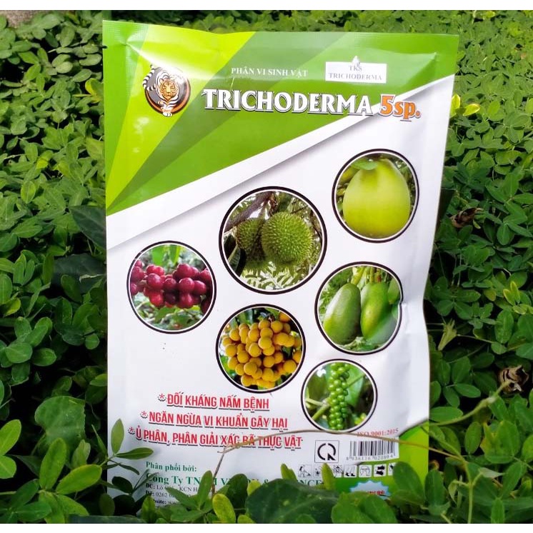 MEN Ủ DỊCH CHUỐI Và Nấm Triochoderma Hòa Tan, Bón Cây Hiệu Quả
