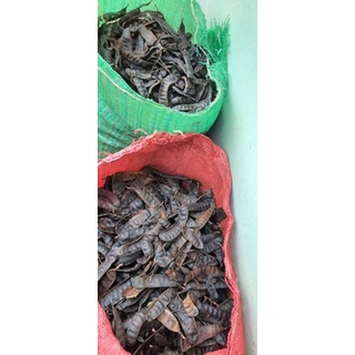 Quả bồ kết khô