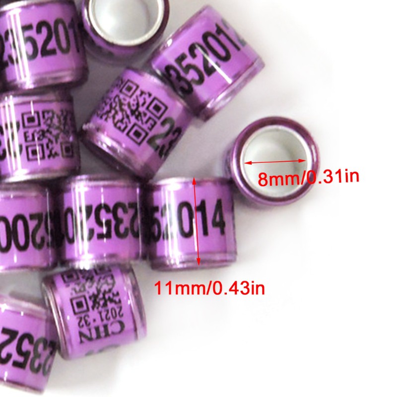 Set 50 Vòng Đeo Chân Chim Bồ Câu Nhiều Màu Sắc Xác Định Tiện Dụng