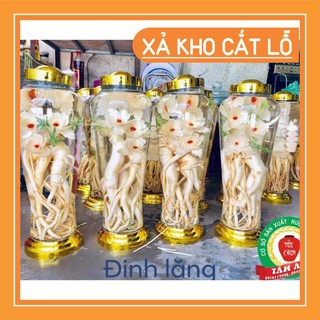 Bình thủy tinh ngâm rượu 3 5 7 LÍT  ❤️ TẶNG VÒI HÚT RƯỢU