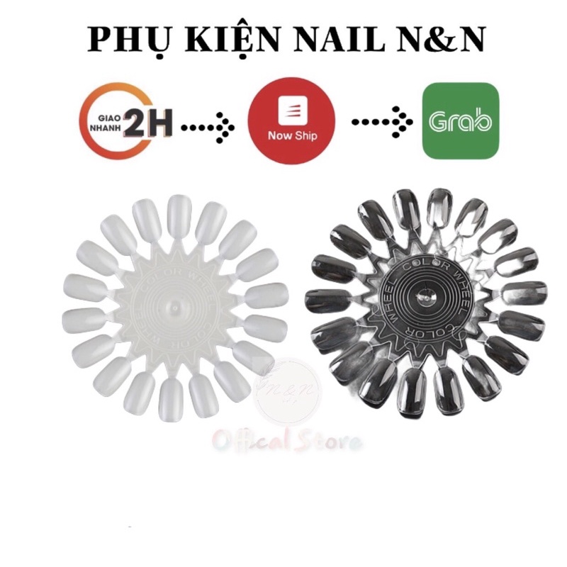 Móng vỉ tròn tập sơn / tập vẽ