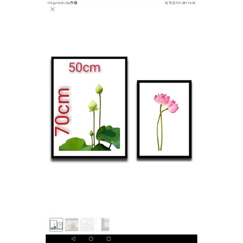 Ảnh lớn 40x50,40x60,50x75,60x80,60x90,70x100,50x70,tranh đính đá ,đóng khung thêu chữ thập,cắt theo yêu cầu
