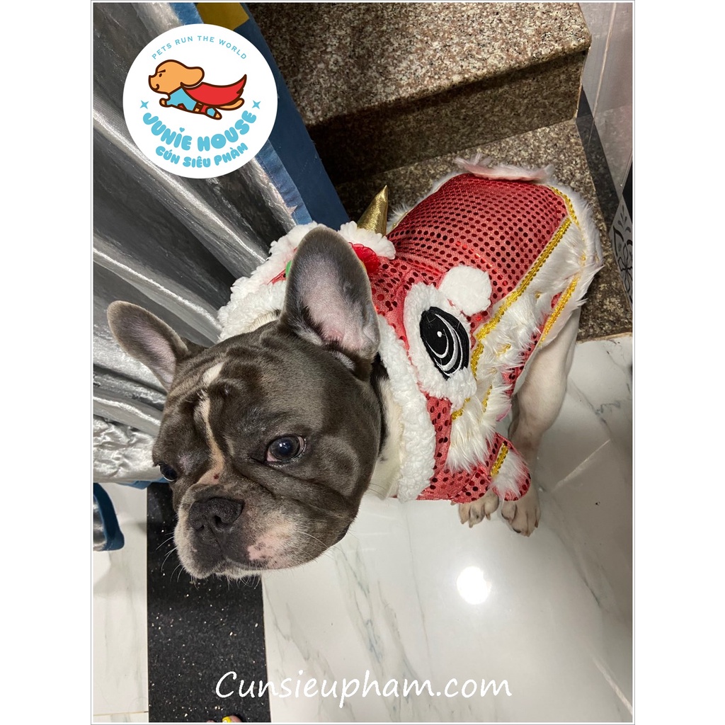 Áo con lân lấp lánh đồ Tết múa lân cho chó mèo