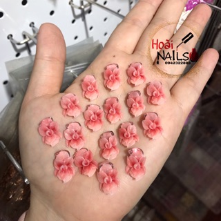 Hoa bột dáng dẹt ôm đá( 1b) - Phụ kiện Nail
