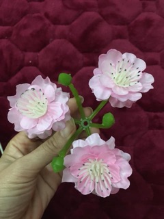 1 Lạng bông đào