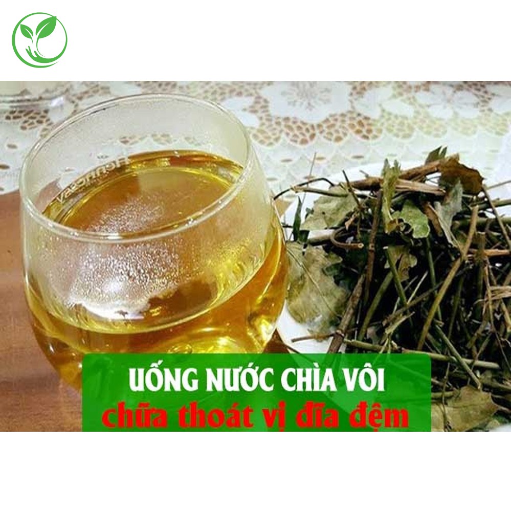 [Rẻ Vô Địch] Cây Chìa Vôi 🍀 Chữa Đau Nhức Xương Khớp 🍀 500G NK115