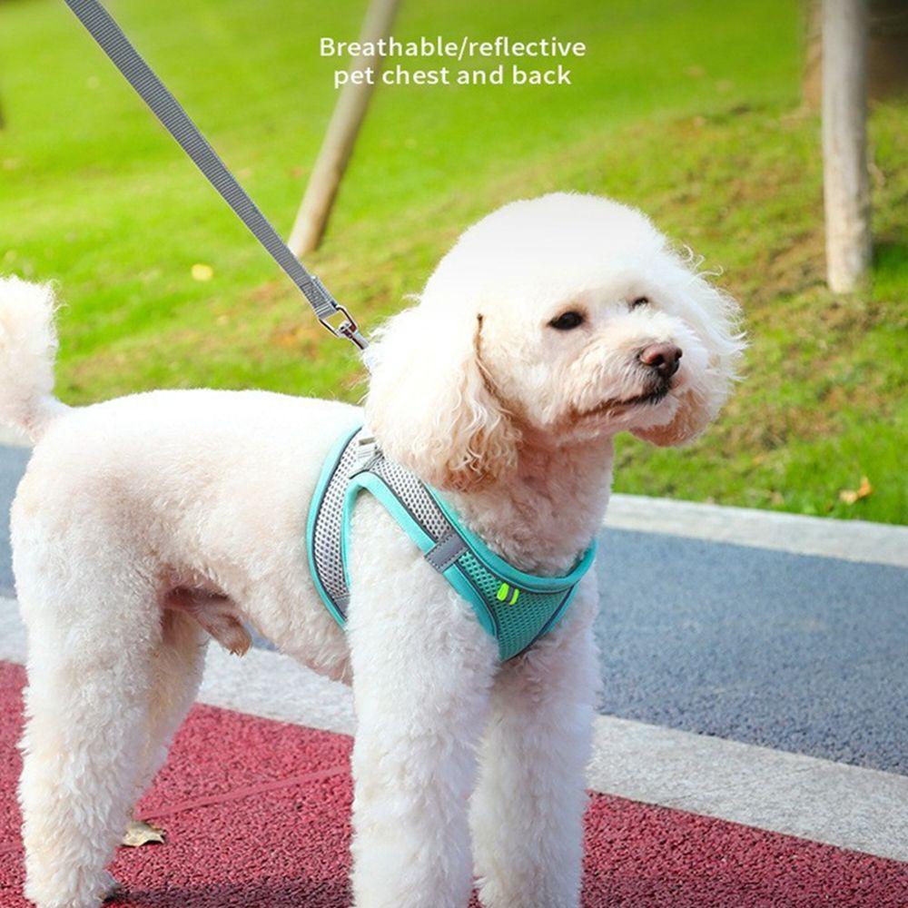 Đai Dắt Thú Cưng Đi Dạo Mềm Mại Thoáng Khí Kèm Dây Kéo Tiện Dụng