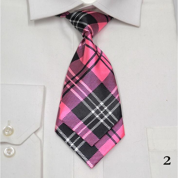 Cà Vạt Họa Tiết Chấm Bi Và Ngôi Sao Thời Trang Dành Cho Nữ