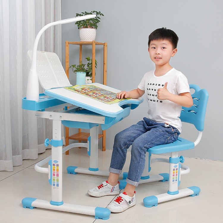 Ghế chống gù Royal D8 | BigBuy360 - bigbuy360.vn