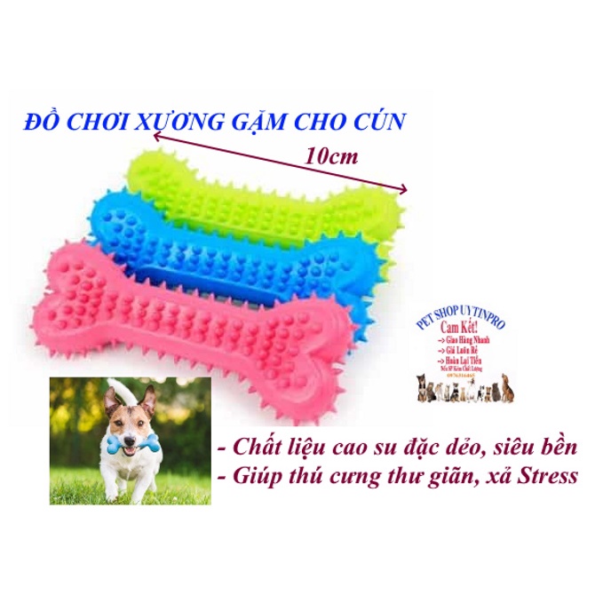 Đồ chơi cho Chó Hình tạ dài 10cm Hai đầu hình trái tim Gắn gai mềm Chất liệu cao su đặc, Mềm dẻo, An toàn cho Thú cưng
