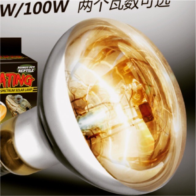 Bóng Đèn SOLAR 100w  - 100W