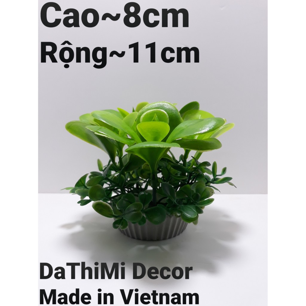 COMBO (3 loại) 3 cây cỏ nhựa 2 tầng dùng để trang trí hồ cá , tiểu cảnh, bàn học, bàn làm việc.