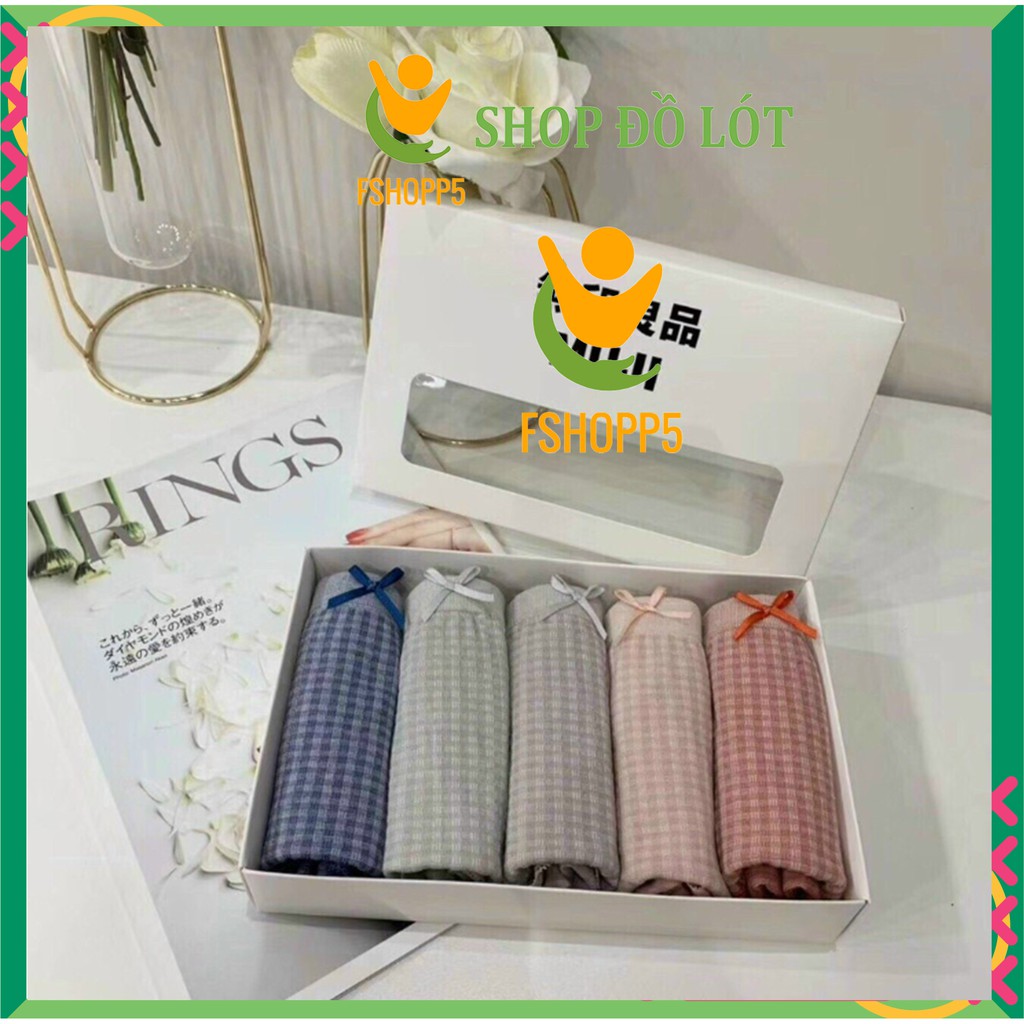 Quần lót cotton HAVANA kẻ caro freesize 40-55kg mã LOTNU02