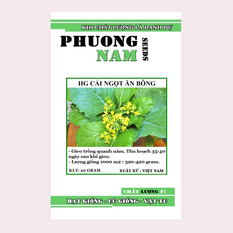 20GR - HẠT GIỐNG CẢI NGỌT ĂN BÔNG