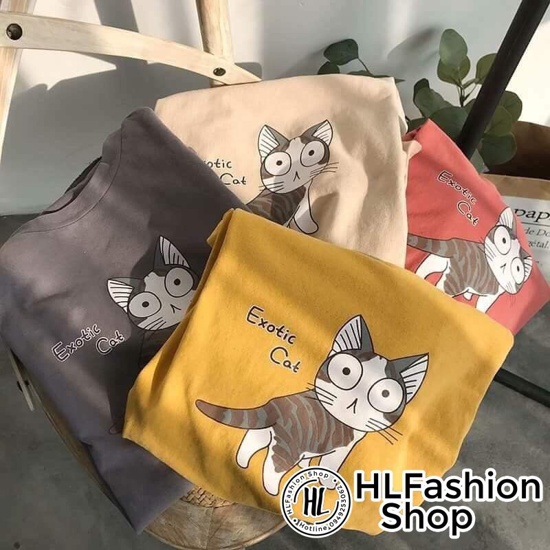 Áo thun tay lỡ form rộng Exotic Cat mèo ngây thơ, áo phông form rộng size HLFashion