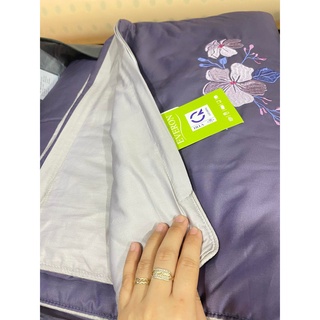 Bộ Drap chun chần EVERON MDSC089