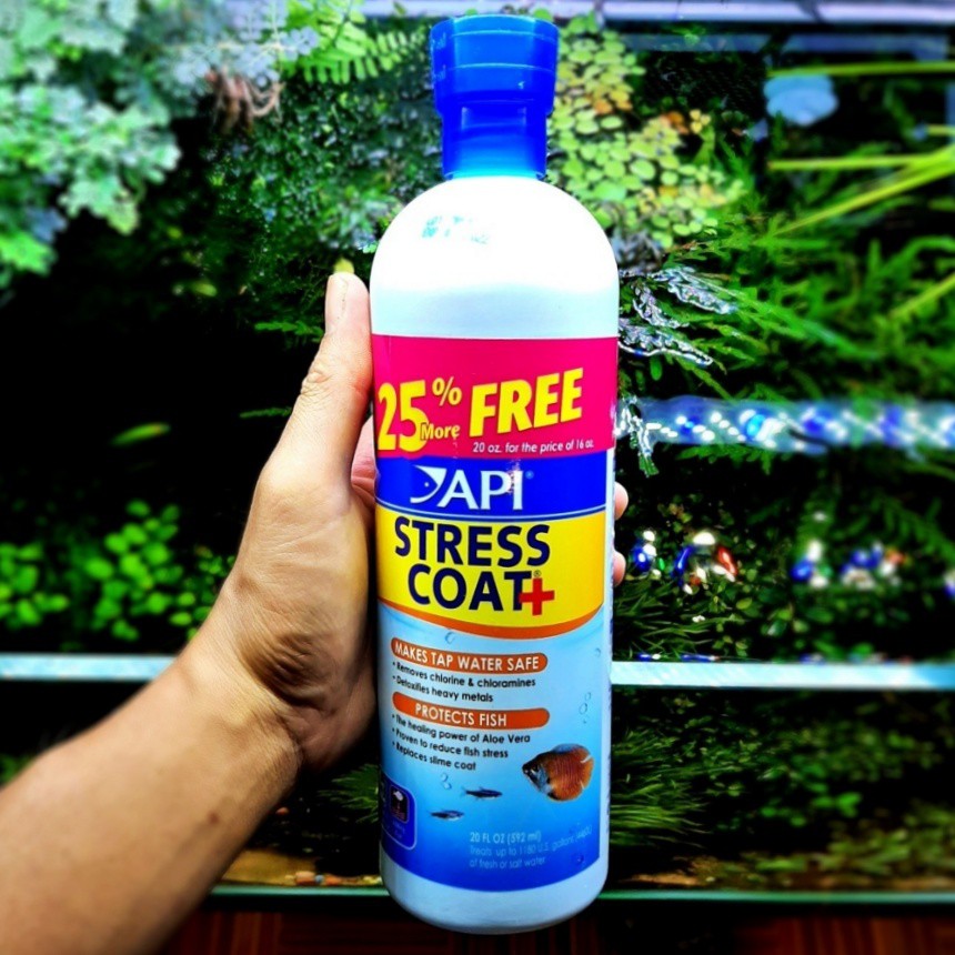 API Stress Coat | Thần Dược Khử Độc Nước - Giảm Stress - Phục hồi vết thương cho cá cảnh