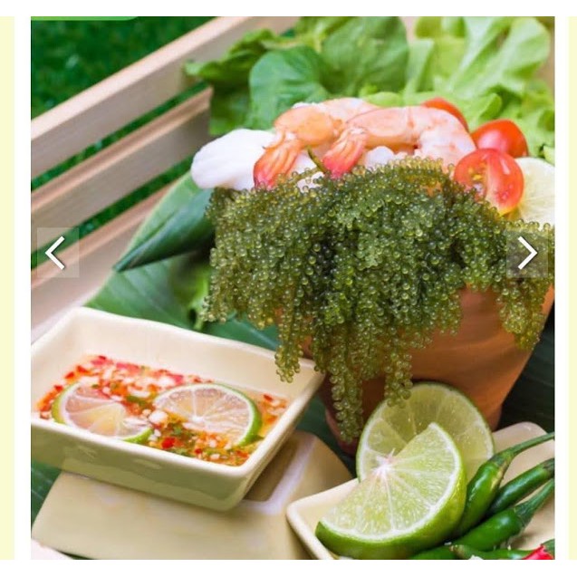 10 Hộp rong nho Sea Việt - hộp 220g