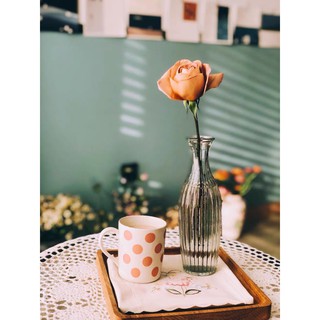 Lọ Hoa Thủy Tinh Sọc Hiện Đại- Lọ Hoa Bắc Âu
