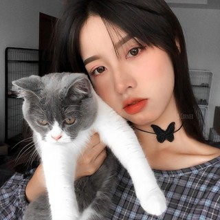 Choker dây bướm 🦋