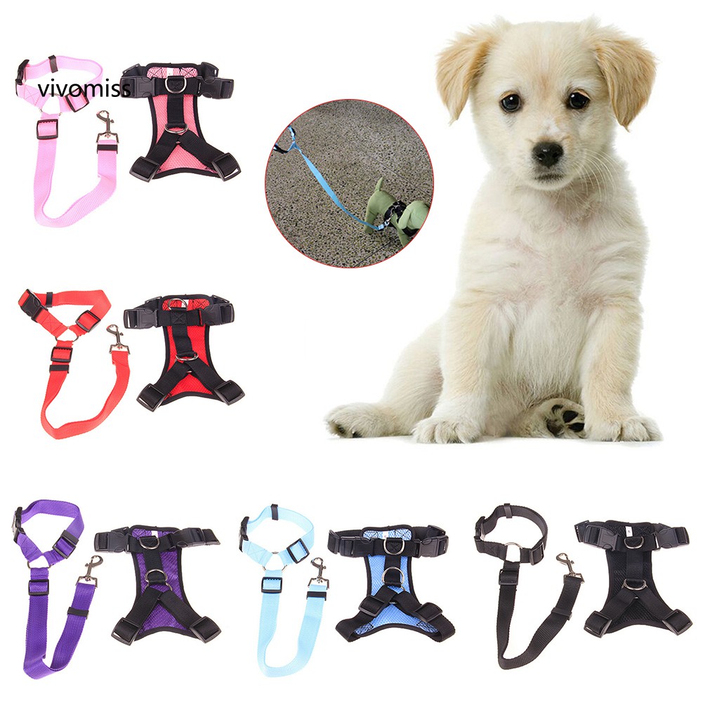 Bộ Yếm Lưới + Dây Dắt Thú Cưng Đi Dạo