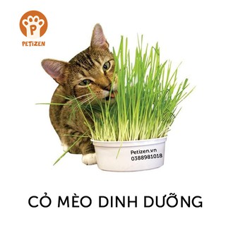 Bộ KIT Cỏ lúa mạch dinh dưỡng cho Mèo Petizen