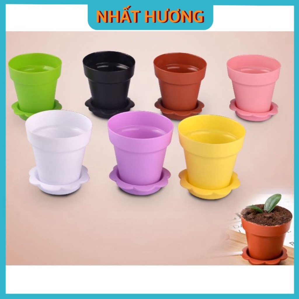 Ly Nhựa CH73 20 Cái – Giao Màu Xanh Lá