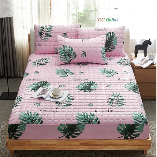 Ga trải giường chun trần bông cotton + lớp đệm simmon, kháng khuẩn