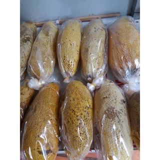 Mật ong ruồi nguyên tổ( đầu mùa)