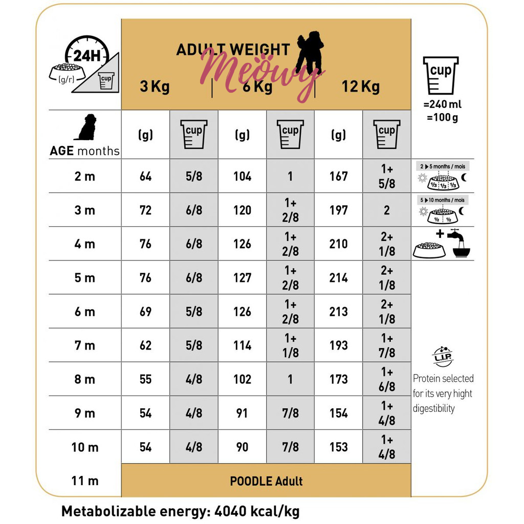 [1.5kg] hạt Royal Canin Poodle Puppy 2 - 10 tháng tuổi