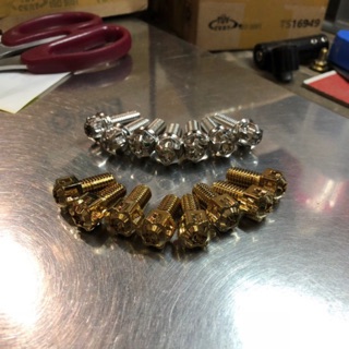 Ốc đĩa Salaya CNC