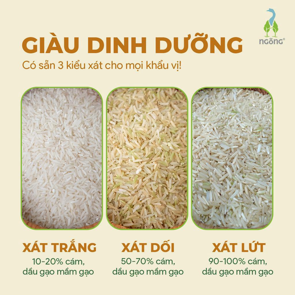 Gạo Ngỗng Sinh Thái ST25 - Gạo Sạch Ruộng Rươi Tôm Gói 700gr