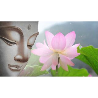 Tranh canvas phật sen 60x100 kèm khung