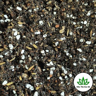 Đất Trộn Sẵn Trồng Sen Đá, Xương Rồng Siêu Tốt