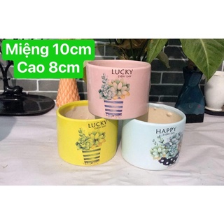 Chậu sứ trồng cây hình trụ tròn