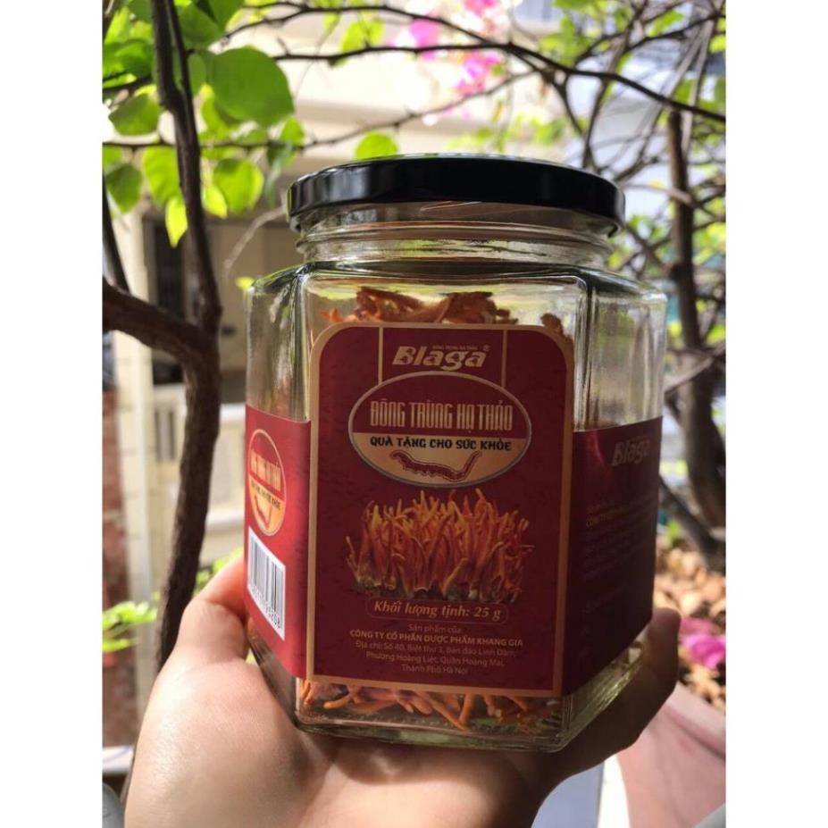 Đông trùng hạ thảo sấy thăng hoa Blaga 25g | BigBuy360 - bigbuy360.vn
