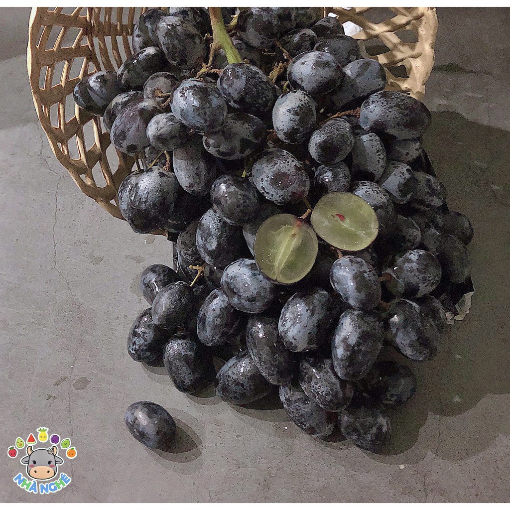 Nho Đen Mỹ Không Hạt - Black Seedless Grapes