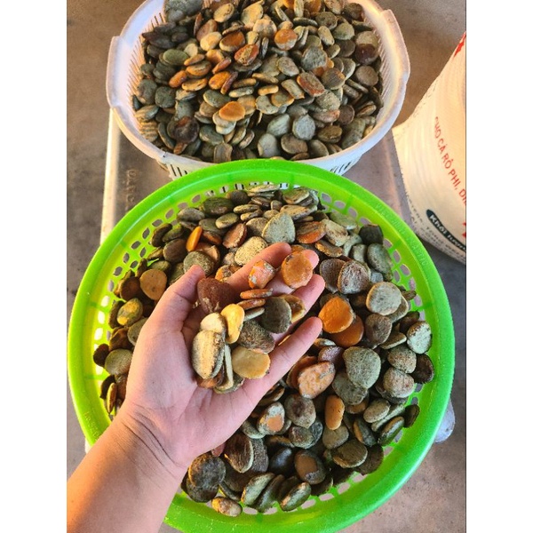 Nhân Hạt Gấc Đã Rang (1kg) ( cam kết chất lượng)