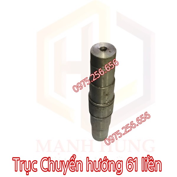 Trục Chuyển hướng 61 liền