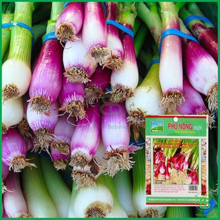Hạt giống hành gốc đỏ F1 cao sản - 1 gói 2gram