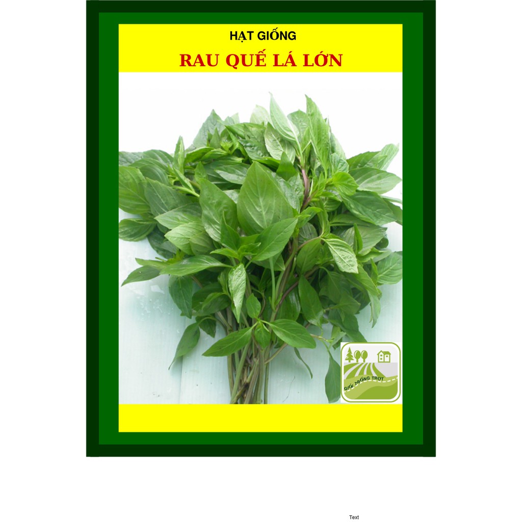 Hạt Giống Rau Quế 10 Gram