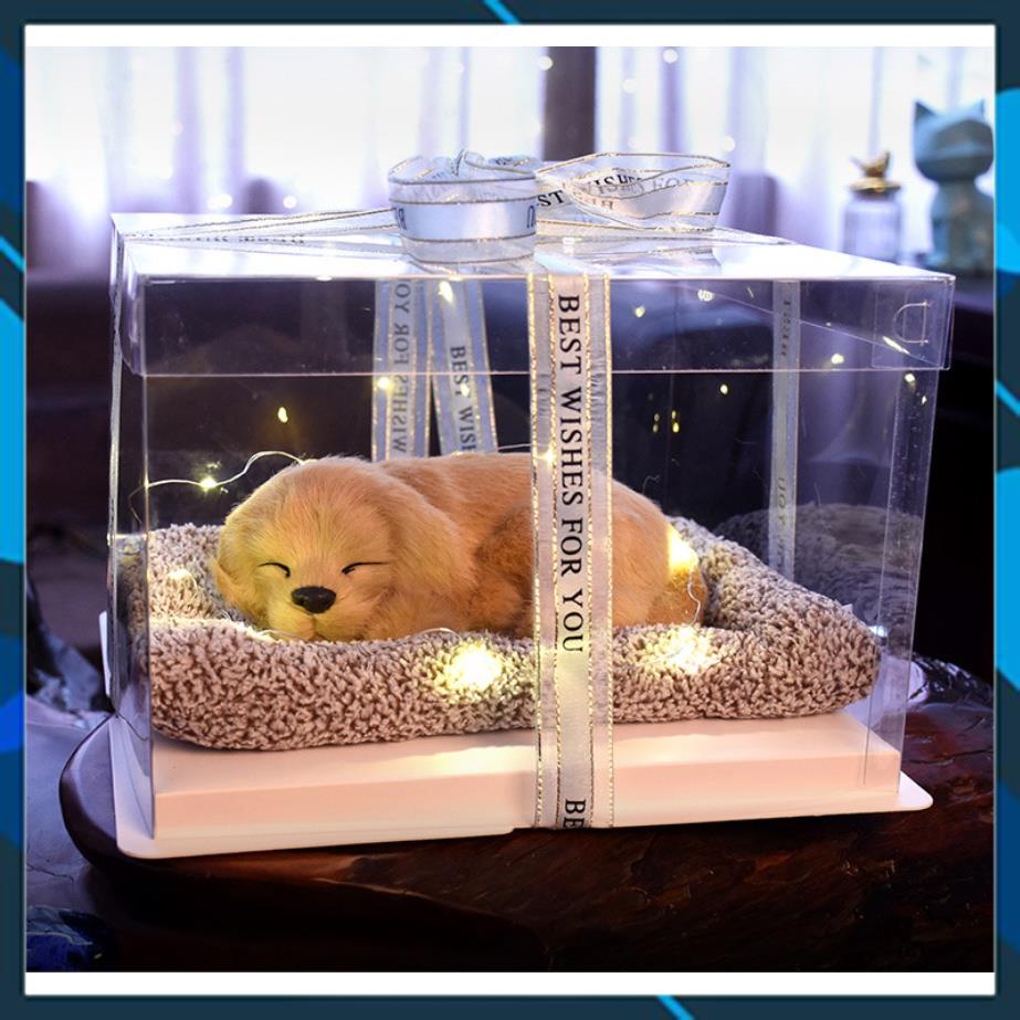 Hộp Quà Trong Suốt Thú Cưng Dễ Thương, Decor Phòng Ngủ, Bàn Làm Việc, Quà Tặng Sinh Nhật - Noel