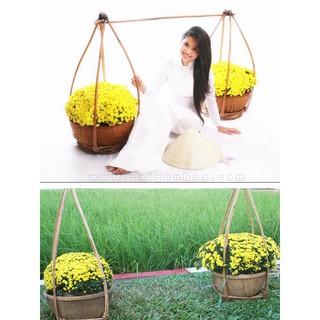 Bộ quang gánh cỡ to trang trí nhà hàng...