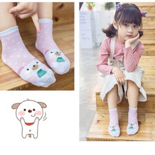 combo 10 Sét 5 đôi tất lưới thu mẫu mới( loại mới)