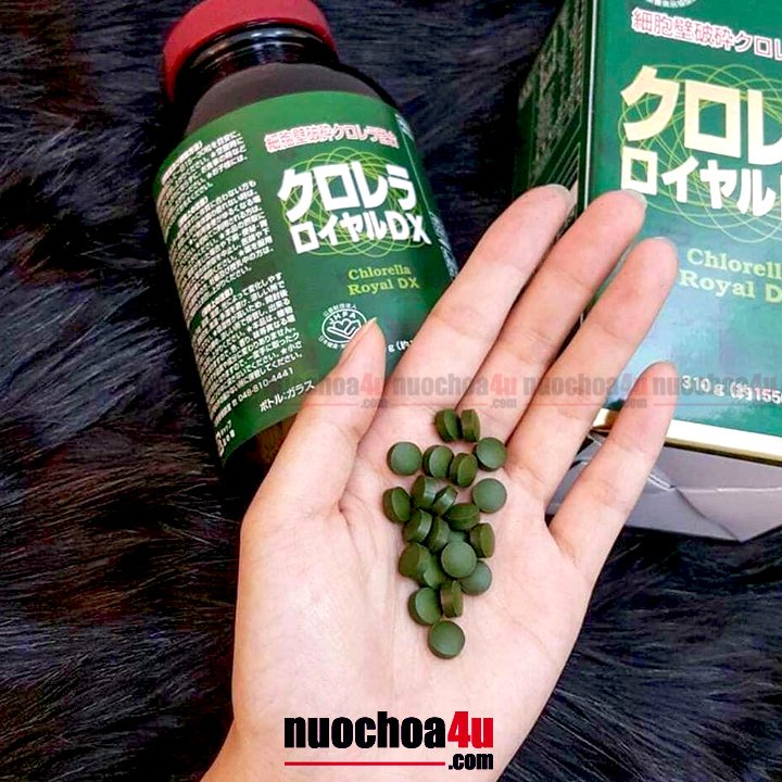 Tảo xoắn chlorella royal dx nhật bản - tảo lục 1550 viên 310g - ảnh sản phẩm 2