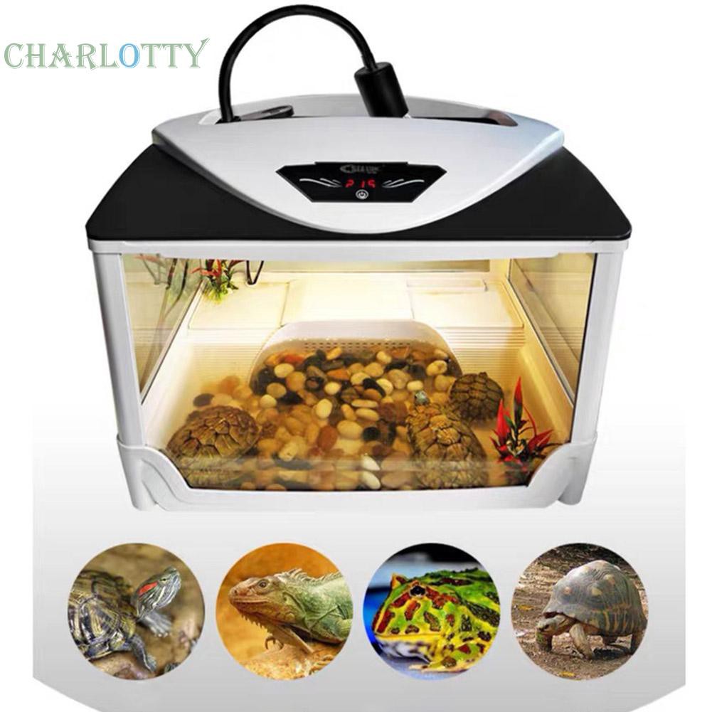 Bóng Đèn Sưởi Ấm Dành Cho Thú Cưng Bò Sát