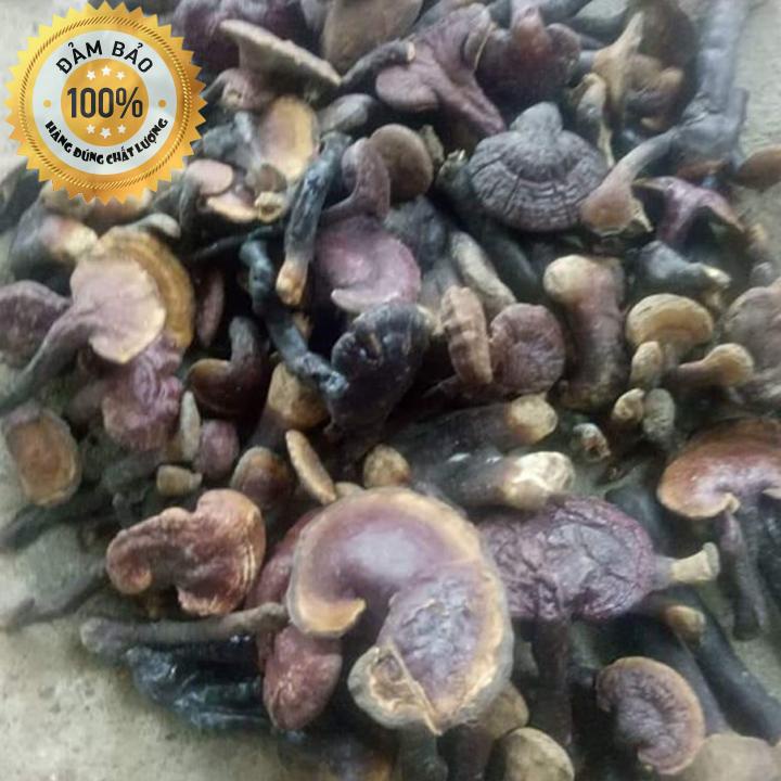 Nấm linh xanh - Nấm linh chi (Trồng tự nhiên ở núi tây bắc)